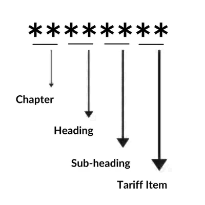 Bifurcation_of_HSN_Code