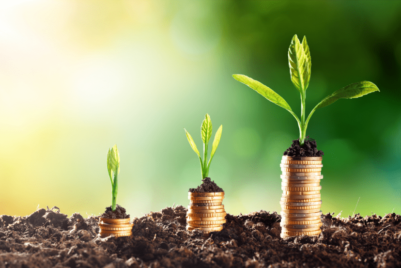 What is RoSCTL Scheme? Its Benefits, Application Process, and More