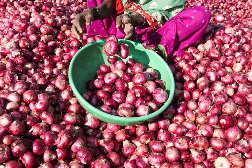 7 Essential Steps for Exporting Onions from India: A Comprehensive Guide