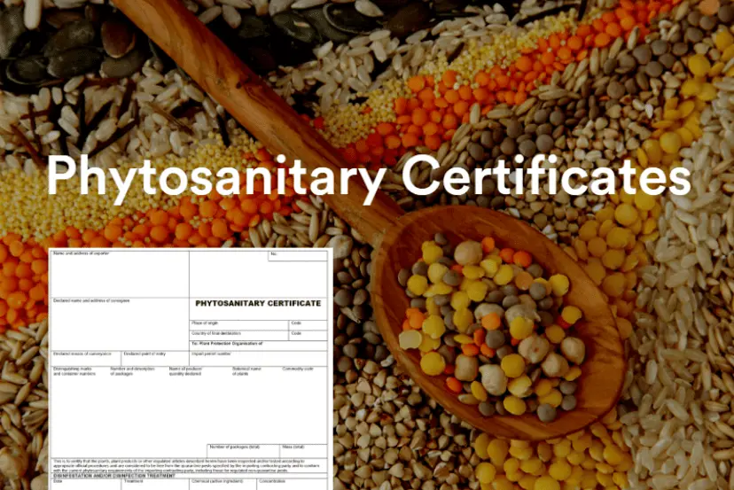 Phytosanitary Certificate: An Essential Document for Exporting from India