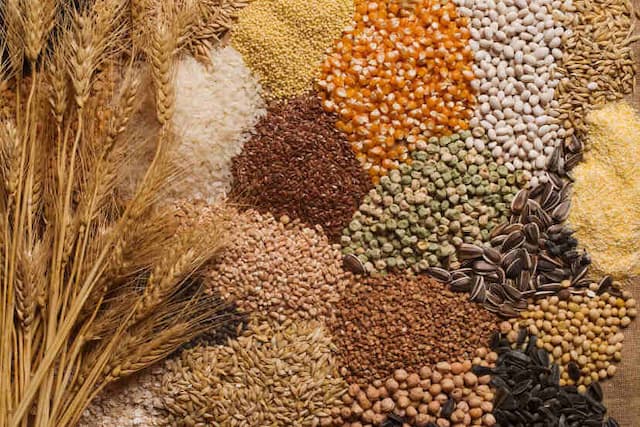 Top 10 Agricultural Products Exported from India