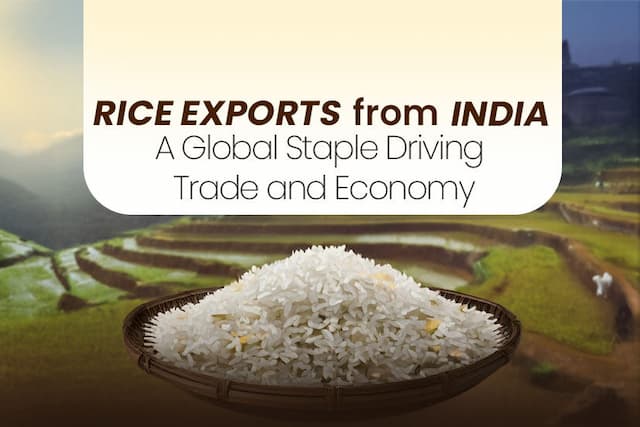 Rice Exports from India: A Global Staple Driving Trade and Economy
